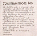 Cow moods.gif